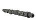 Skunk2 Tuner Series D-Series Honda Stage 4 Camshaft - DFW Speed Syndicate
