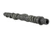 Skunk2 Tuner Series D-Series Honda Stage 4 Camshaft - DFW Speed Syndicate
