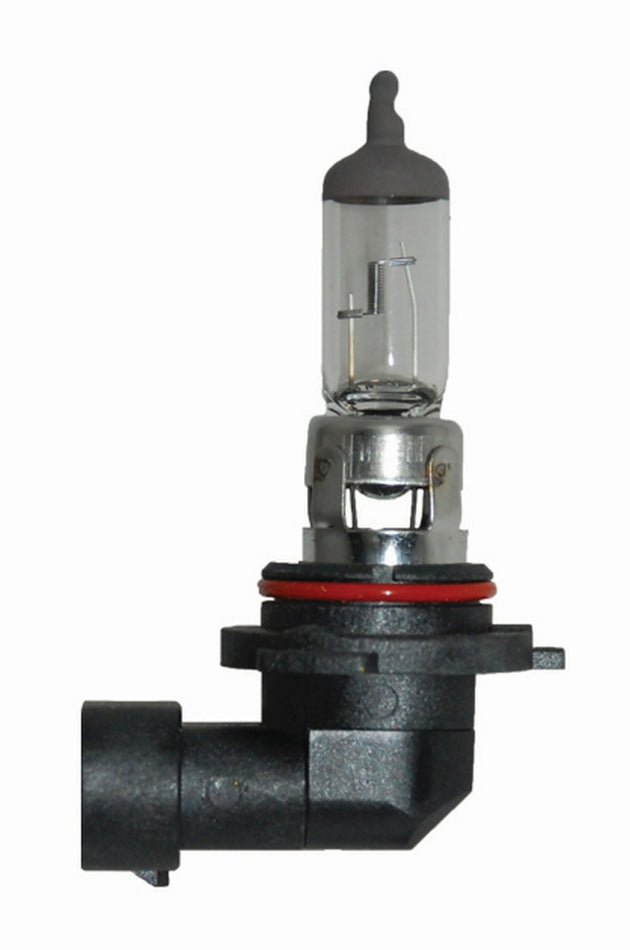 Hella 9006 12V 55W Halogen Bulb - DFW Speed Syndicate