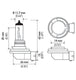 Hella Optilux XB Extreme Type H11 12V 80W Blue Bulbs - Pair - DFW Speed Syndicate