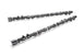 Tomei Camshaft Procam RB20DE[T] FR SPORT
