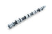 Tomei Camshaft Poncam/Procam 4G63 FR SPORT