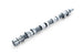 Tomei Camshaft Poncam/Procam 4G63 FR SPORT