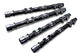 Tomei Camshaft Procam/ Poncam VG30DE(TT) FR SPORT