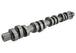 Ford Racing 05-10 Mustang GT High Lift Hot Rod Cam Set Ford Racing