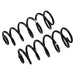 ARB / OME Coil Spring Rear Jeep Jk - DFW Speed Syndicate