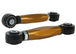 Whiteline 16-18 Ford Focus Rear Lower Front Control Arm - DFW Speed Syndicate