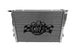 E9X 325i / 330i / 328i / E8X 128i / 09-10 BMW E89 Z4 All-Aluminum Radiator - DFW Speed Syndicate