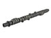 Skunk2 Tuner Series D-Series Honda Stage 4 Camshaft - DFW Speed Syndicate