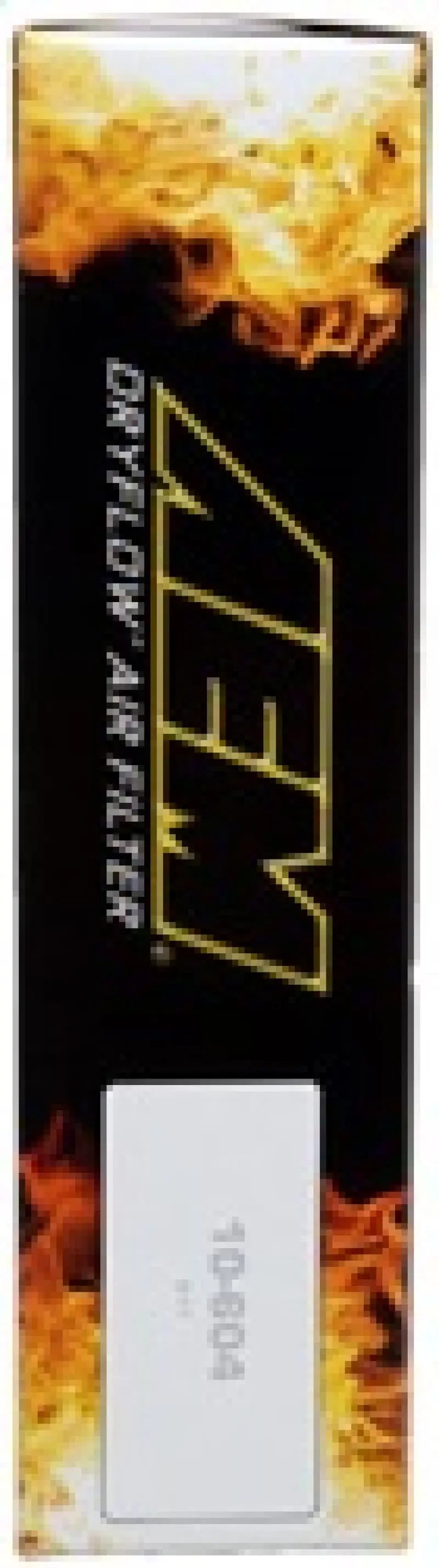AEM 06-10 Toyota Yaris DryFlow Air Filter AEM Induction