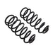 ARB / OME Coil Spring Rear Jeep Jk - DFW Speed Syndicate