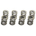 VW 8V HD DUAL SPRING SET FOR HIGH LIFT CAMSHAFT SPA TURBO USA