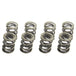VW 8V HD DUAL SPRING SET FOR HIGH LIFT CAMSHAFT SPA TURBO USA
