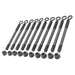 VW 8V 276 N/A application hydraulic tappets performance camshaft + High Compression Head Gasket - 0.5mm + 118mm head stud set SPA TURBO USA