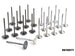 Tomei Racing Valve FR SPORT