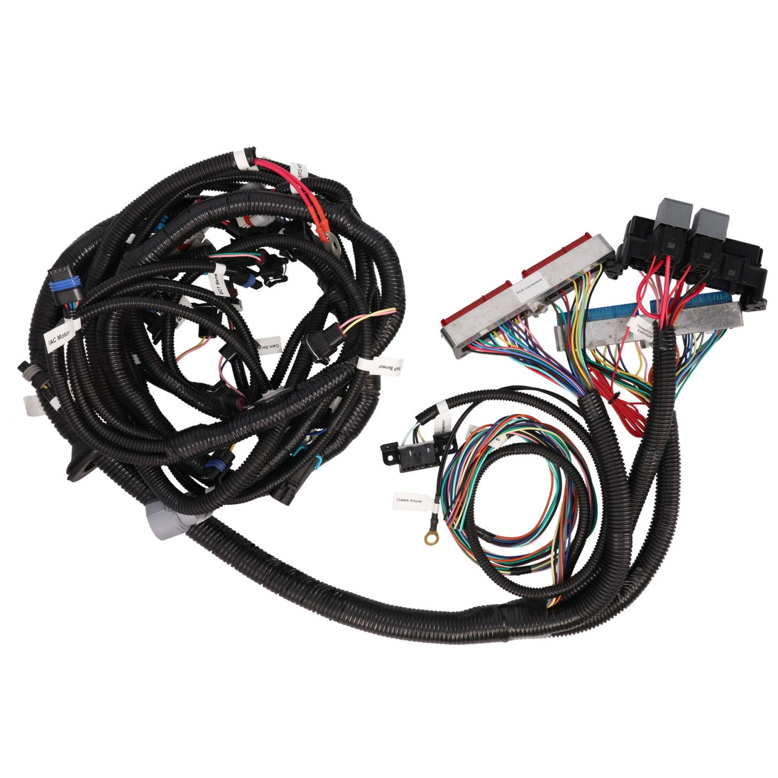 TSP Standalone Wiring Harness; LS1 Drive By Cable With T4L60E Auto Top Street Performance