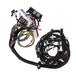TSP Standalone Wiring Harness; LS1 Drive By Wire With T56 Manual Top Street Performance