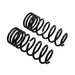 ARB / OME Coil Spring Rear 80 Hd Low - DFW Speed Syndicate