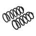 ARB / OME Coil Spring Rear Prado 4/03On - DFW Speed Syndicate