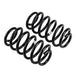 ARB / OME Coil Spring Rear Jeep Wh Cherokee - DFW Speed Syndicate