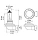 Hella Optilux XB Extreme Type H11 12V 80W Blue Bulbs - Pair - DFW Speed Syndicate