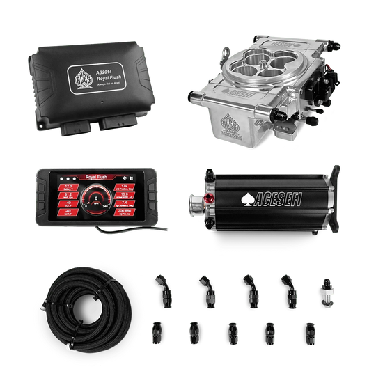 Royal Flush EFI/CDI w/Fuel Delivery System Aces EFI B2B