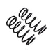 ARB / OME Coil Spring Rear 4Run Hd - DFW Speed Syndicate