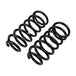 ARB / OME Coil Spring Rear Lc 200 Ser- - DFW Speed Syndicate