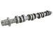 Ford Racing 05-10 Mustang GT High Lift Hot Rod Cam Set Ford Racing