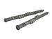 Skunk2 Pro Series Honda B16A/B17A/ B18C DOHC VTEC Stage 2+ Cam Shafts - DFW Speed Syndicate