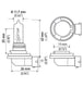 Hella Optilux H9 12V/100W XB Xenon White Bulb (pair) - DFW Speed Syndicate