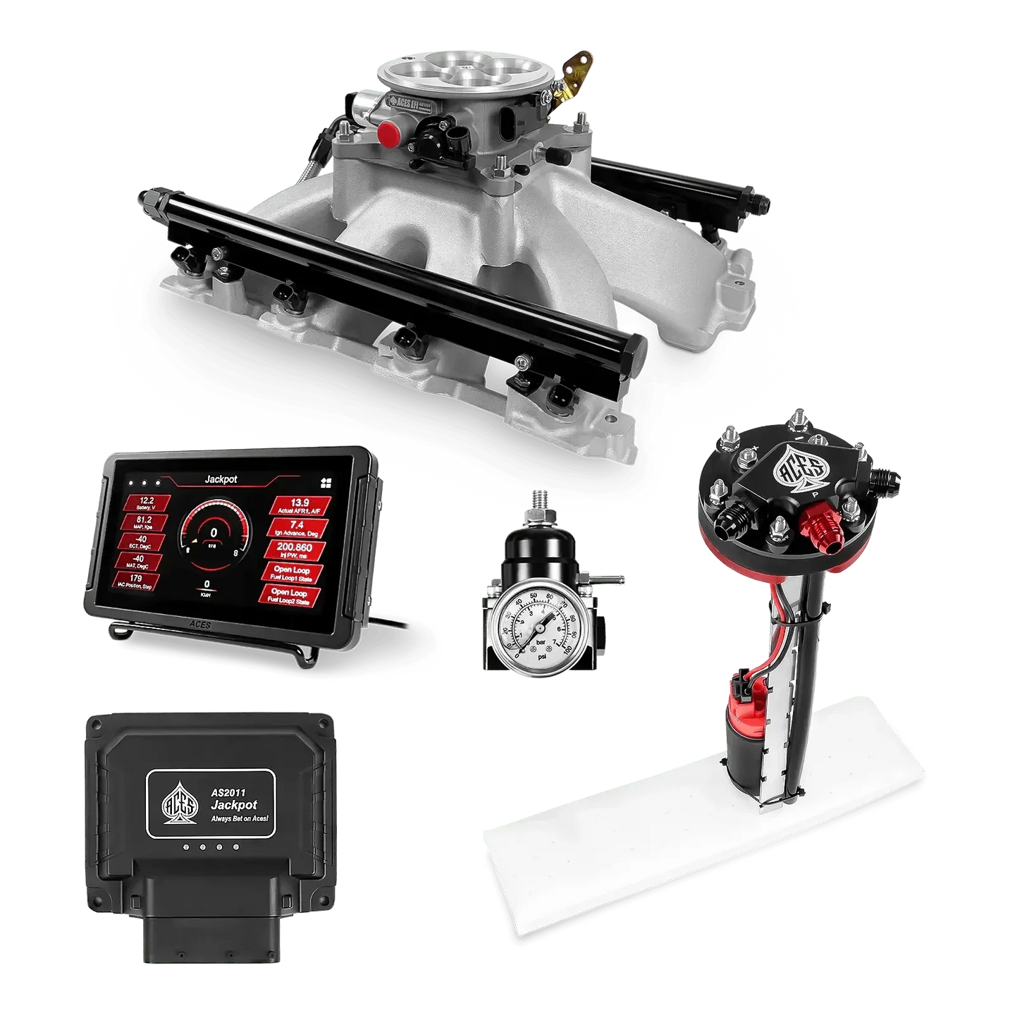Jackpot LS EFI System - Master Kit with Tight Fit In-Tank Pump Module Aces EFI B2B