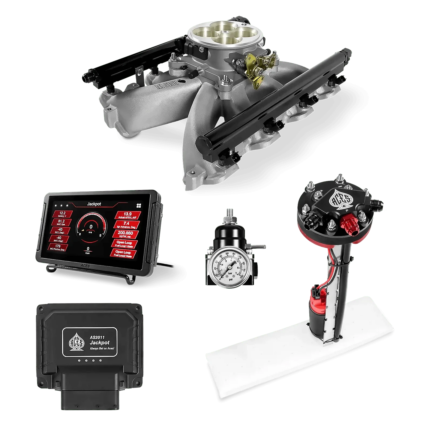 Jackpot LS EFI System - Master Kit with Tight Fit In-Tank Pump Module Aces EFI B2B