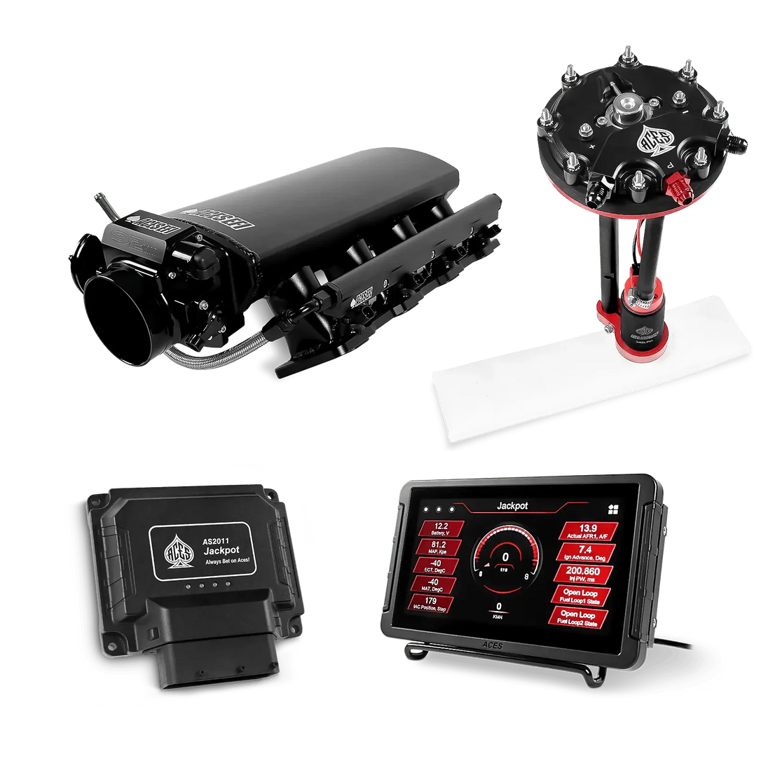 Jackpot LS EFI System - Master Kit with Tank Conversion Pump Module with Internal Regulator Aces EFI B2B