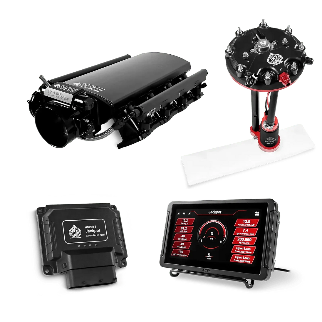Jackpot LS EFI System - Master Kit with Tank Conversion Pump Module with Internal Regulator Aces EFI B2B