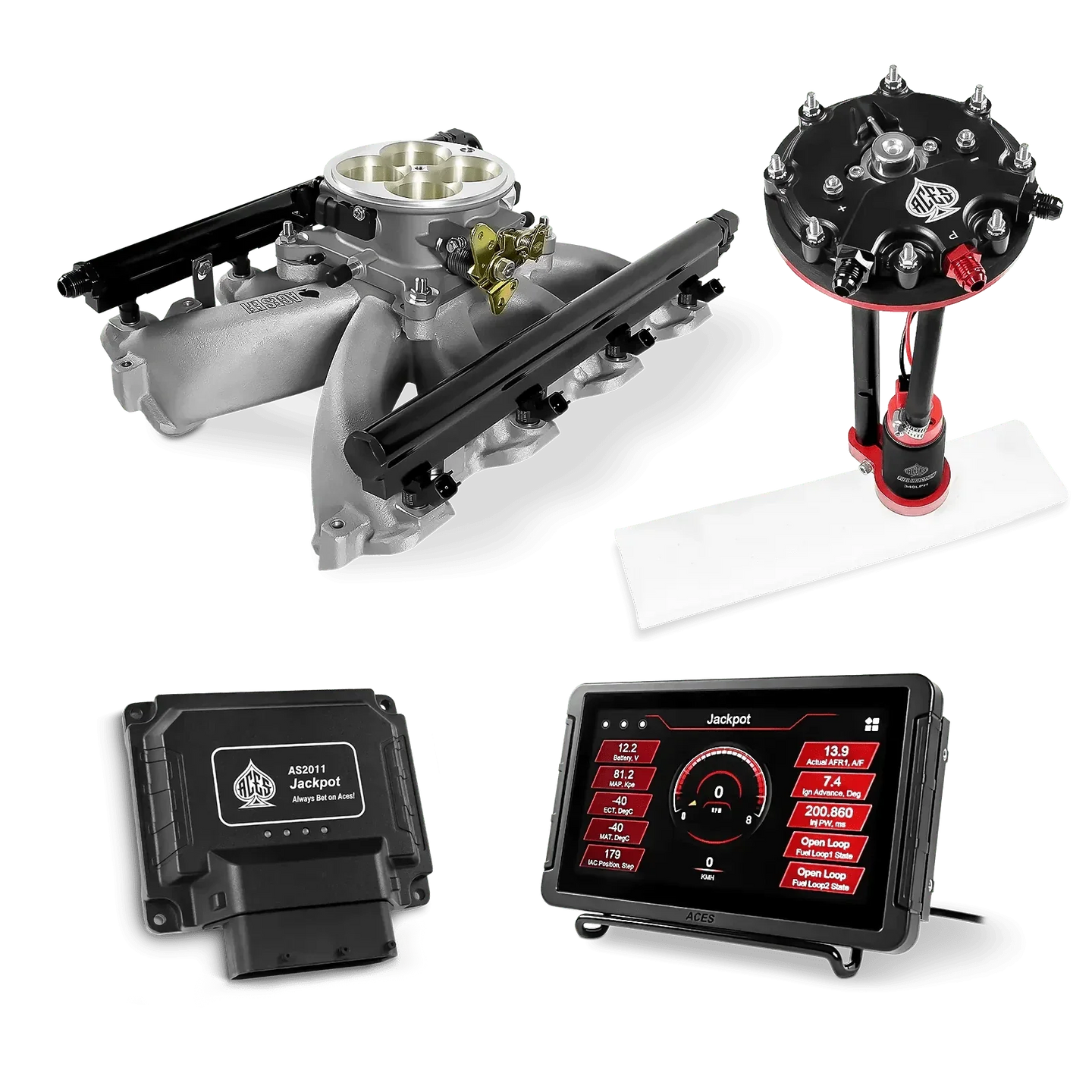 Jackpot LS EFI System - Master Kit with Tank Conversion Pump Module with Internal Regulator Aces EFI B2B