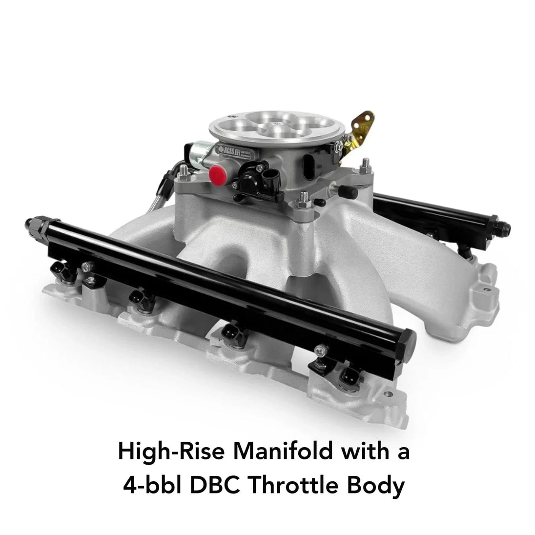 Aces Fuel Injection, Inc. Jackpot LS EFI System - Top End Kit (500 HP)