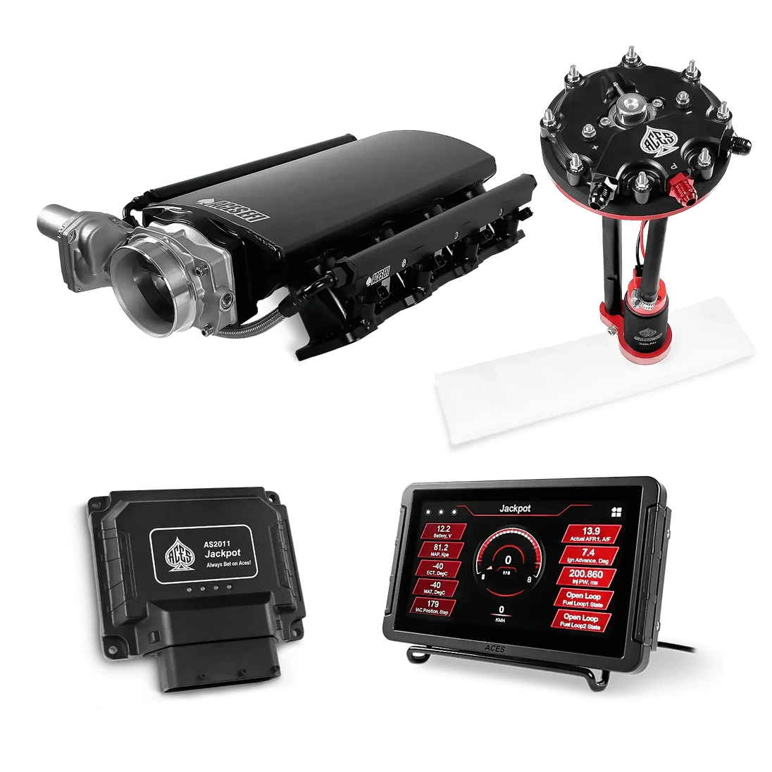 Jackpot LS EFI System - Master Kit with Tank Conversion Pump Module with Internal Regulator Aces EFI B2B