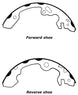 Porterfield Brake Shoes for 2000 FORD FOCUS FR SPORT