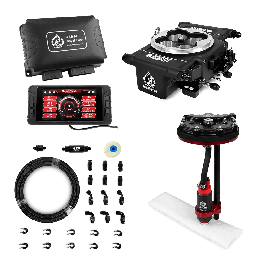 Royal Flush EFI/CDI w/Fuel Delivery System Aces EFI B2B