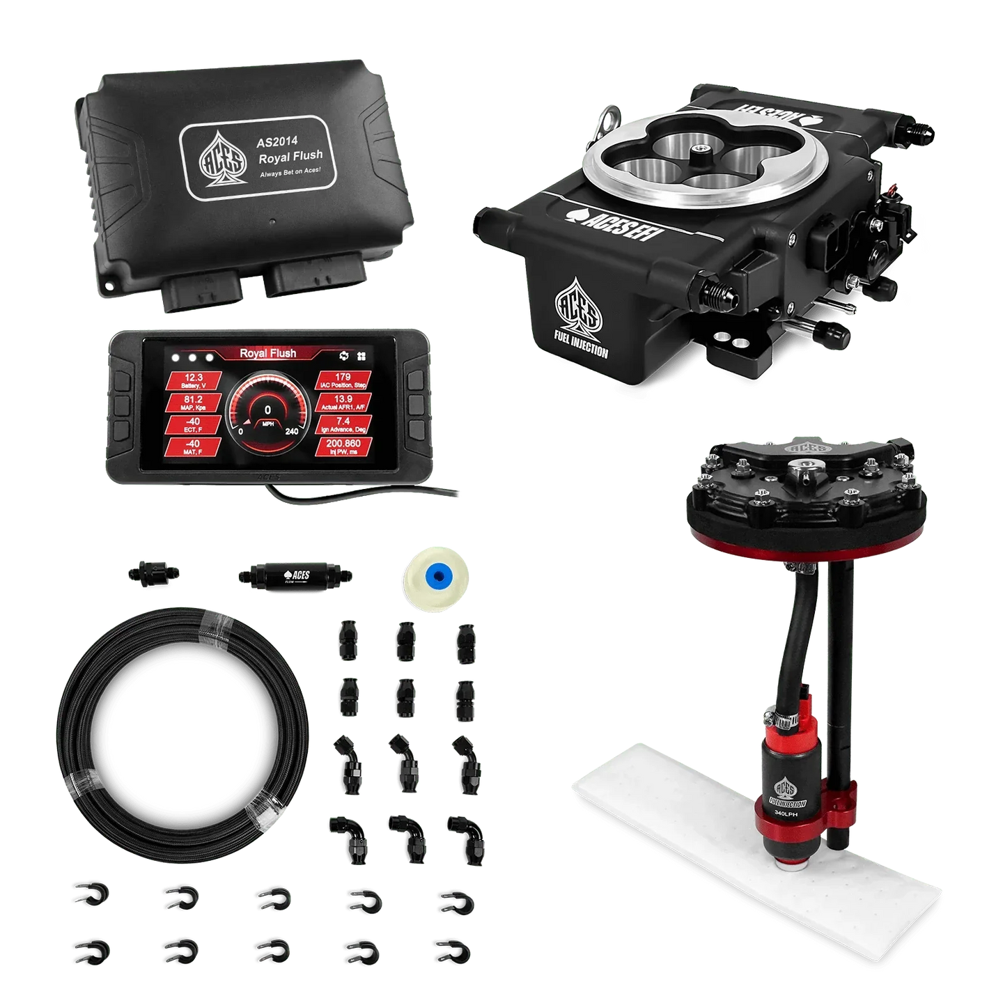 Royal Flush EFI/CDI w/Fuel Delivery System Aces EFI B2B