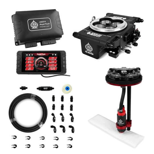 Royal Flush EFI/CDI w/Fuel Delivery System Aces EFI B2B