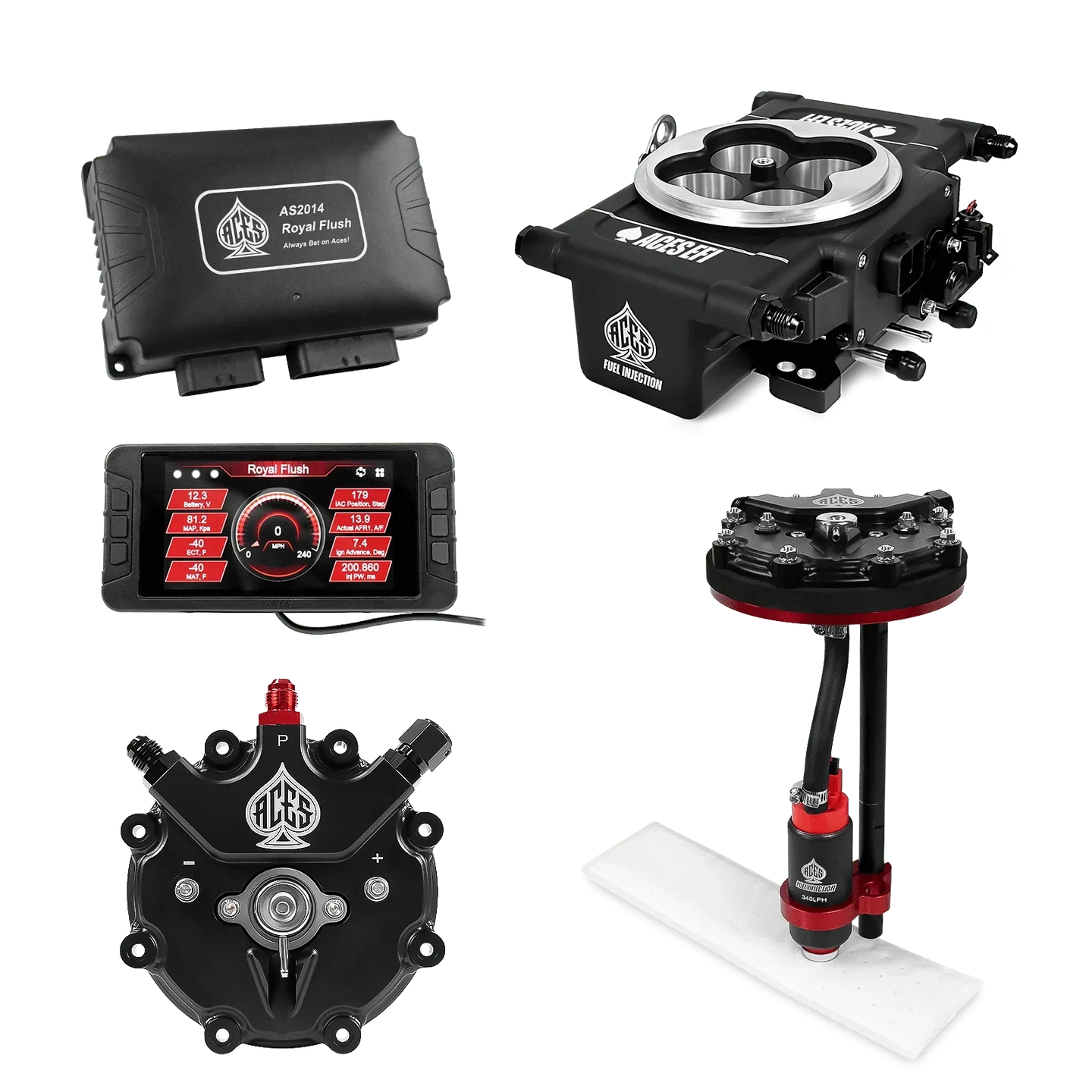Royal Flush EFI/CDI w/Fuel Delivery System Aces EFI B2B