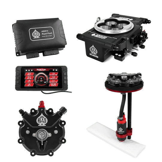 Royal Flush EFI/CDI w/Fuel Delivery System Aces EFI B2B