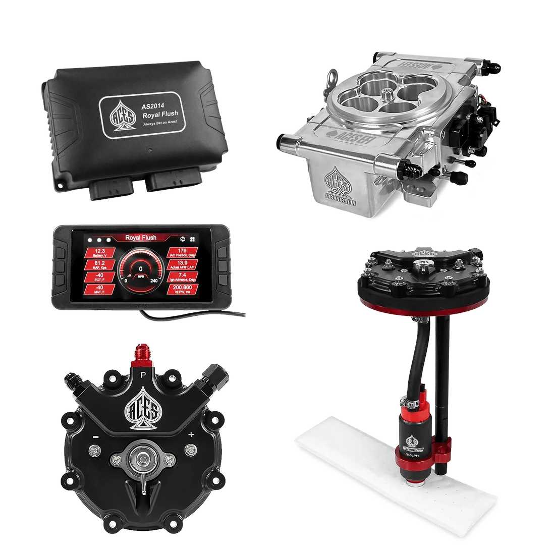 Royal Flush EFI/CDI w/Fuel Delivery System Aces EFI B2B