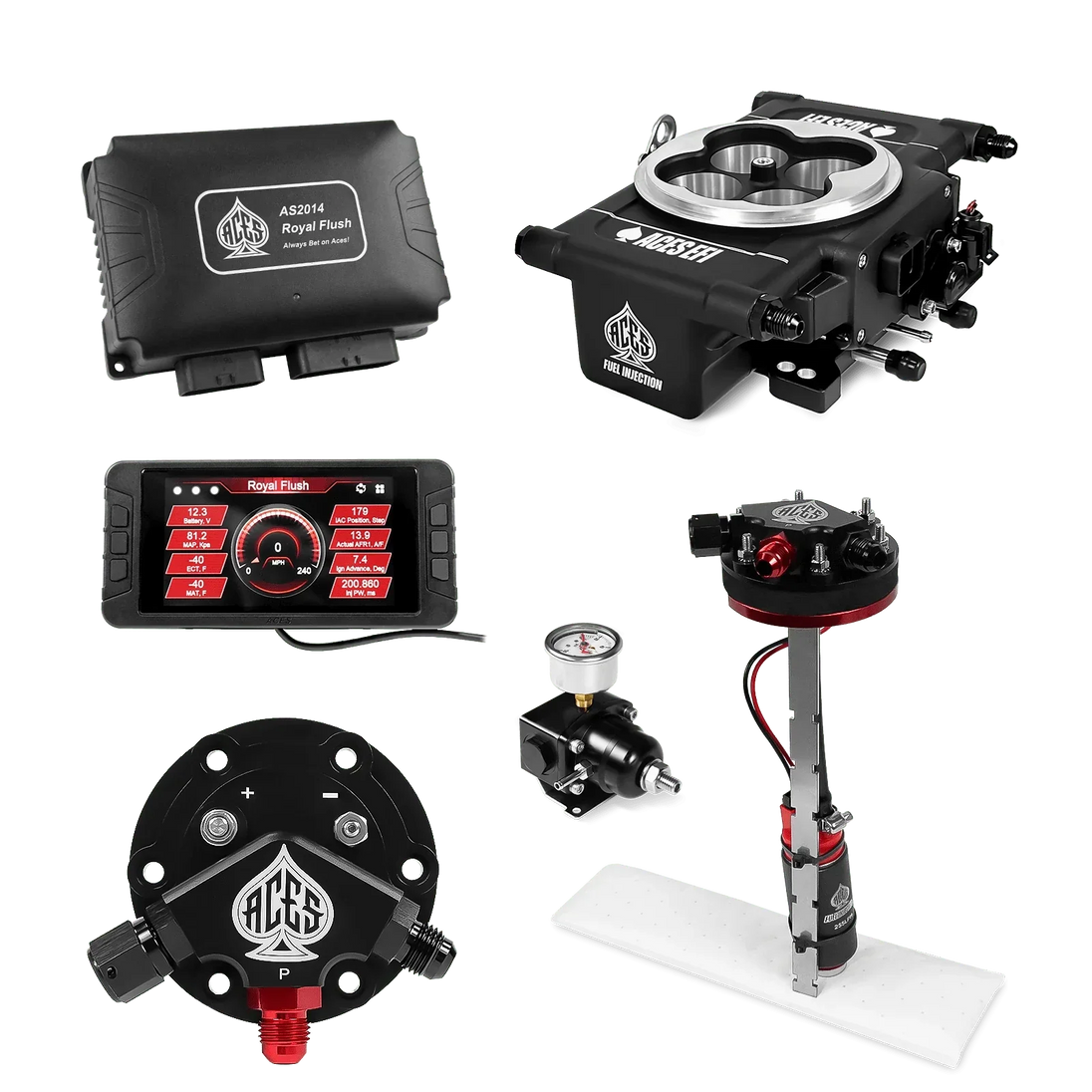 Royal Flush EFI/CDI w/Fuel Delivery System Aces EFI B2B