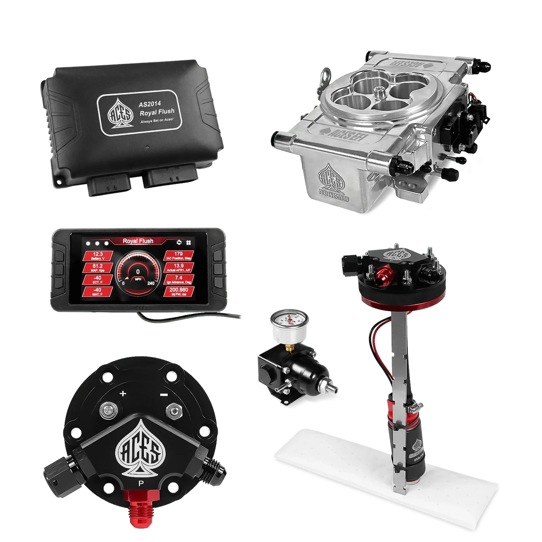 Royal Flush EFI/CDI w/Fuel Delivery System Aces EFI B2B
