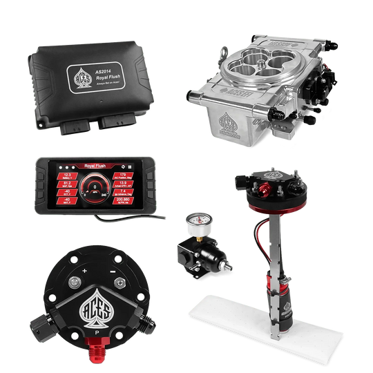 Royal Flush EFI/CDI w/Fuel Delivery System Aces EFI B2B